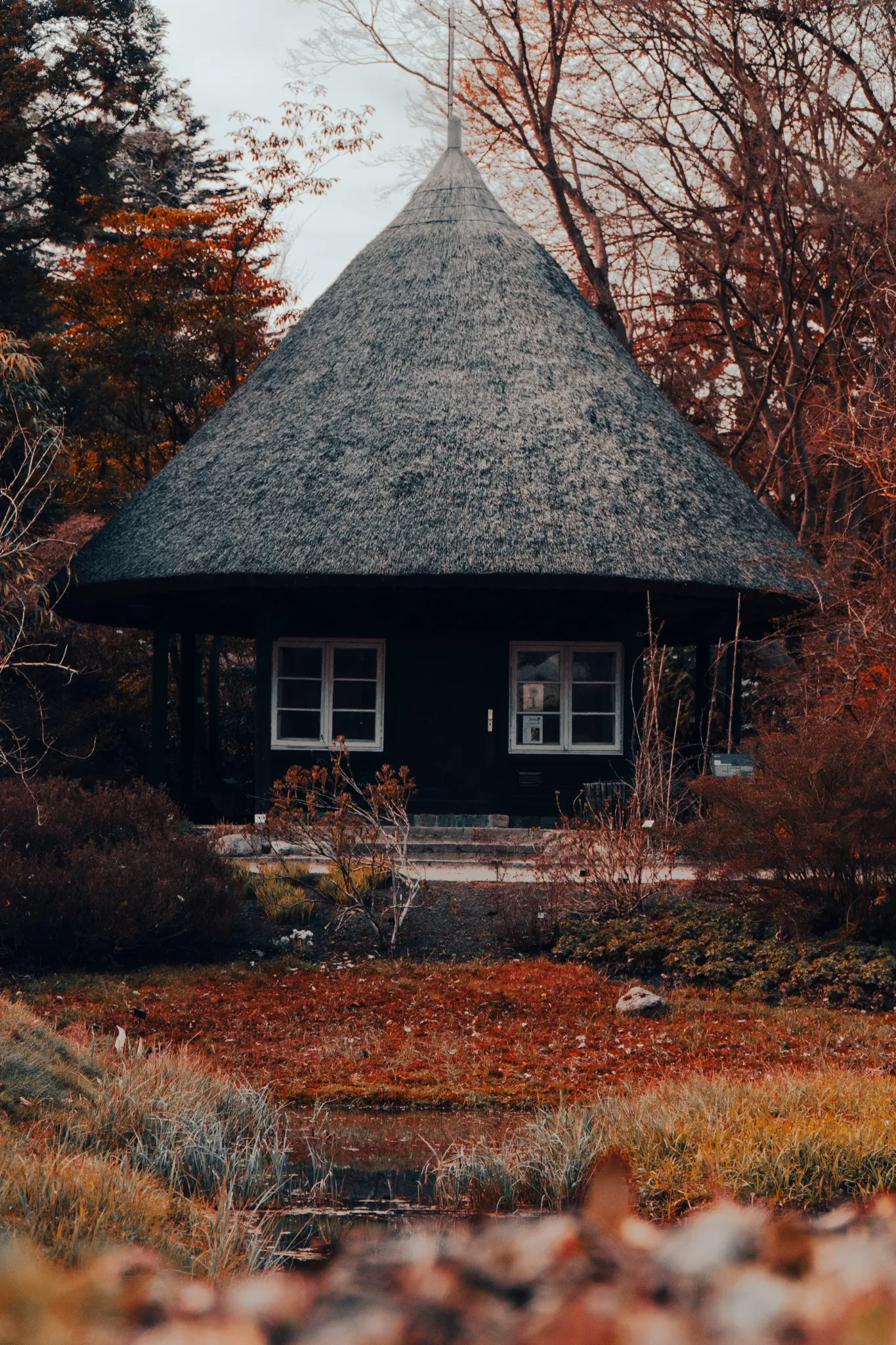 Autumn shelter